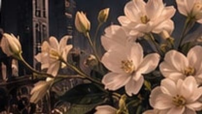 Mayfair — White blossom, dark woods and quiet elegance.